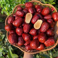 Táo Hòa Điền size 80-90 quả, ngon , ngọt , dẻo , vị chua nhẹ hàng vụ mới thu hoạch năm 2024