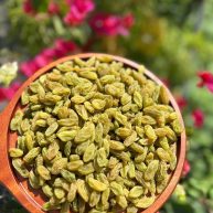 Nho xanh size đại Tân Cương