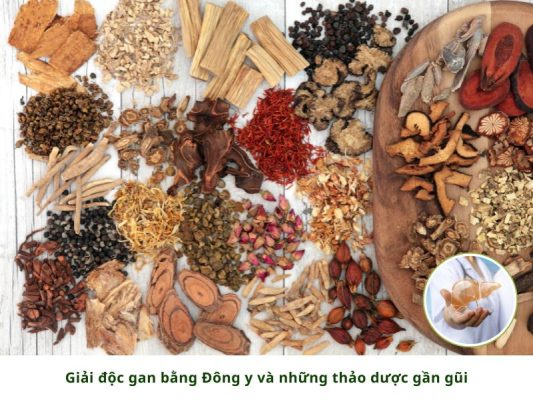 thải độc cơ thể theo đông y