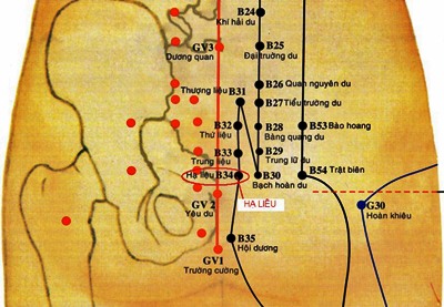 vị trí huyệt Hạ Liêu, tác dụng huyệt Hạ Liêu, châm cứu huyệt Hạ Liêu, Bát Liêu huyệt