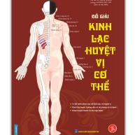 Đồ giải kinh lạc huyệt vị cơ thể – sách bản đồ huyệt vị chuẩn cho học và bấm huyệt