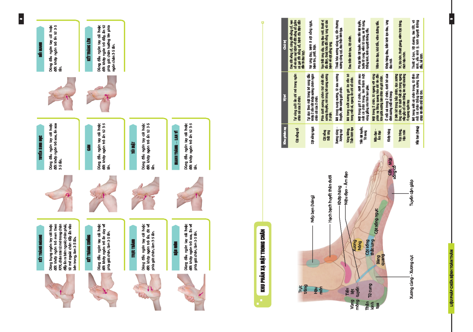 Liệu pháp chữa bệnh toàn thân - Khu phản xạ (sách bản quyền) Tác giả: Cao Ngọc Vĩ - Quách Tu Binh - Trần Cốc Siêu
